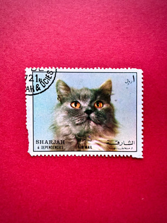 1 Riyal airmail postage stamp issued by Sharjah and Dependencies in 1972 as part of a series featuring domestic cats. A grey Persian cat.