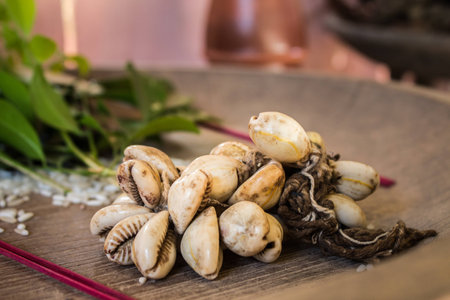 Cowrie
