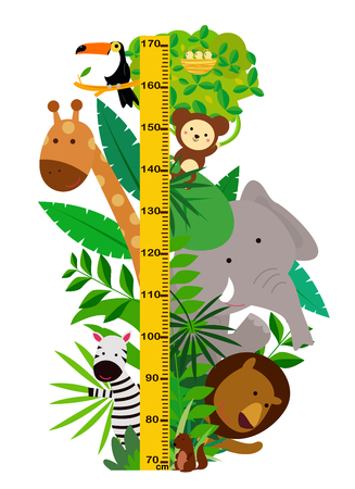 Cartoon wild animals with height measurementのイラスト素材