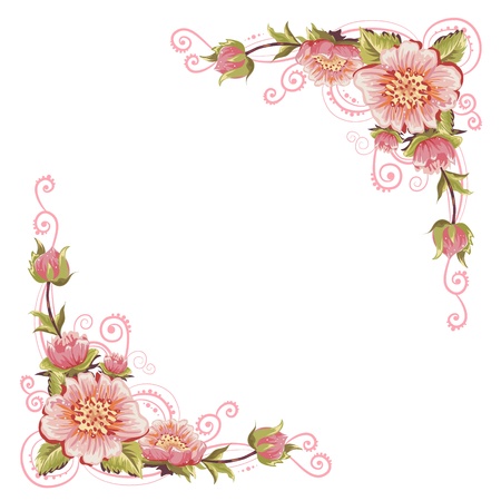 Elegant curves flower corners isolated Elegant curves flower corners isolated