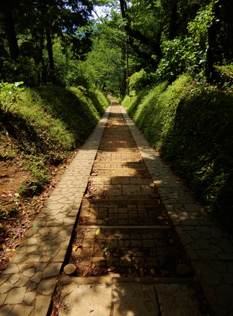 image of roadの写真素材