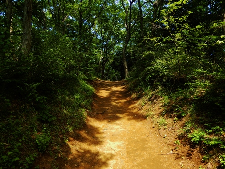 image of road
