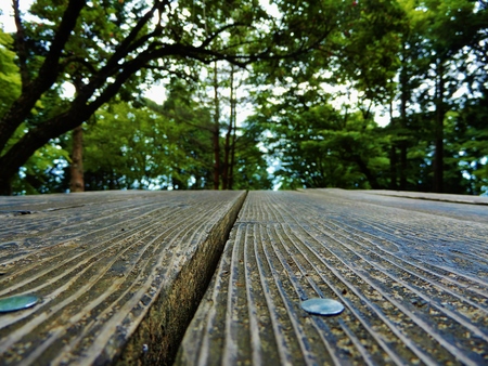 table in forestの写真素材