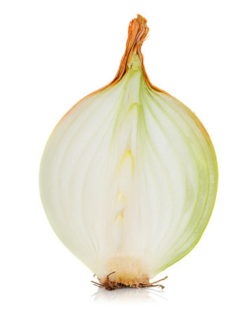 onion on whiteの写真素材