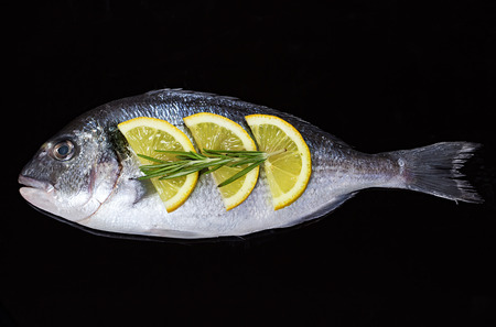 Fresh fish dorado on a black background