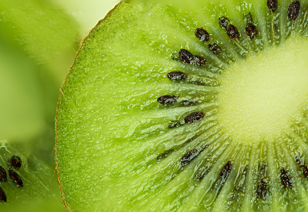 kiwi as backgroundの写真素材