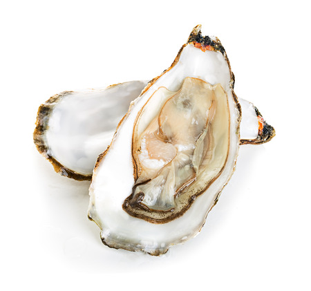 Oysters isolated on a white backgroundの写真素材