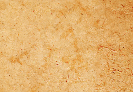 Old paper close-up as a background. Retro stale.の写真素材