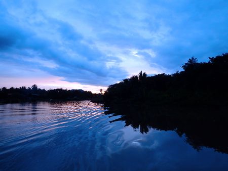 Sabah mangrovesの写真素材