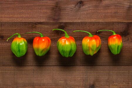 Five colourful habaÃ±ero peppers viewed from top on textured dark wood planksのeditorial素材
