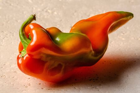 One fresh Marconi orange pepper on a pale textured flat stoneのeditorial素材
