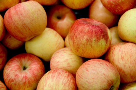 red applesの写真素材