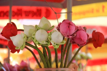 different colored flower bulbsのeditorial素材