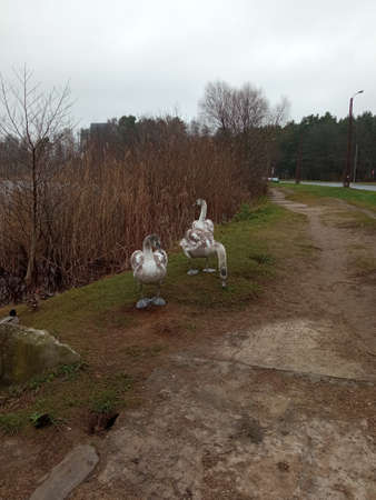 Statues of swans in the park.の写真素材