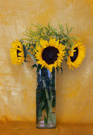 Bouquet of bright sunflowers in a glass vase on a yellow velvet background. Still life of yellow colorsの写真素材