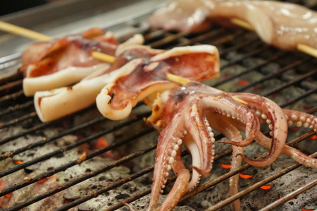 charcoal grilled squidの写真素材