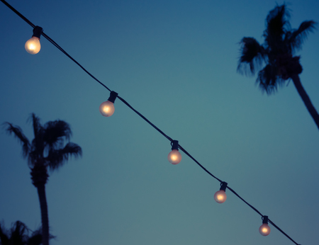 String of Vintage Lightbulbs in Tropical Garden, Palm Springs, Californiaの写真素材