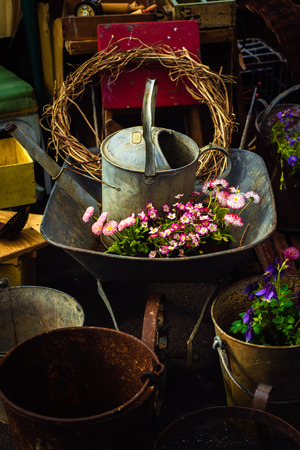 Buckets, Watering Can, Wheelbarrow and Plants in a Junk Shopの写真素材