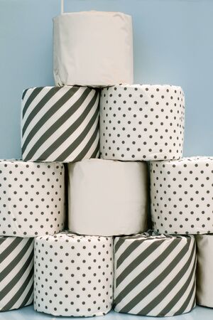 Emergency Supply of Toilet Paper Roll Stacked in a Pyramid in a Bathroom