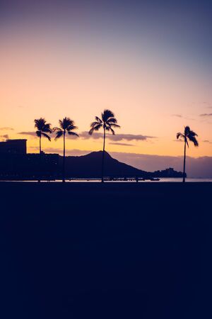 Hawaii Sunrise Background with Diamond Head and Palm Trees with Copy Spaceの写真素材