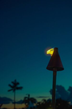 Flame from a Tiki Torch at Sunset With Palm Trees in the Background Hawaii With Copy Spaceの写真素材