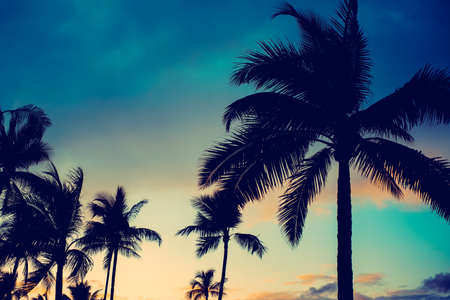 Hawaii Tropical Vacation Destination Travel Background With Copy SPace