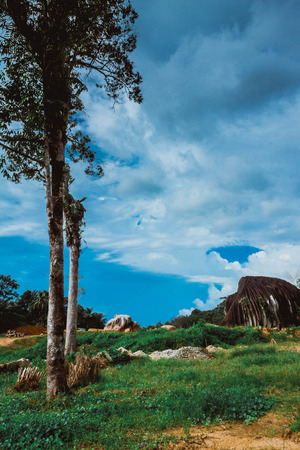 Beautiful Nature Hillの写真素材