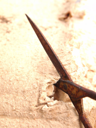 rusty scissors cut old cardboardの写真素材