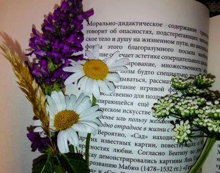 multicolored flowers on the background of an open bookの写真素材