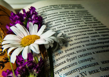 multicolored flowers on the background of an open bookの写真素材