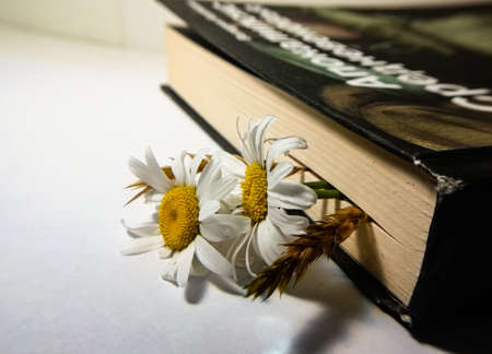 daisies on the background of a closed book