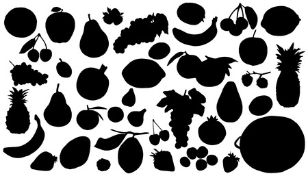 fruits silhuettes on the white backgroundのイラスト素材