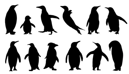 penguin silhouettes on the white backgroundのイラスト素材