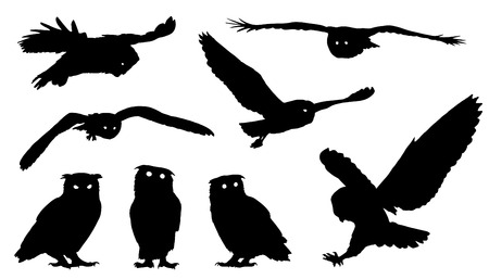 owl silhouettes on the white backgroundのイラスト素材