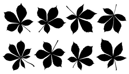 horse chestnut silhouettes on the white backgroundのイラスト素材