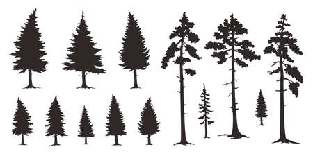 Various coconut palm on the whiteのイラスト素材