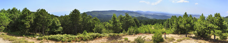 Beautiful panorama of pine trees on a mountain top. Sithonia peninsula in northern Greece.の写真素材