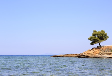 Lonely pine stone ledge. Sithonia peninsula. Greece.の写真素材