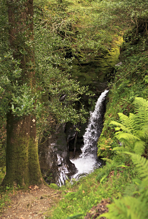 Beautiful waterfall in the Wicklow Mountains National Park.の写真素材