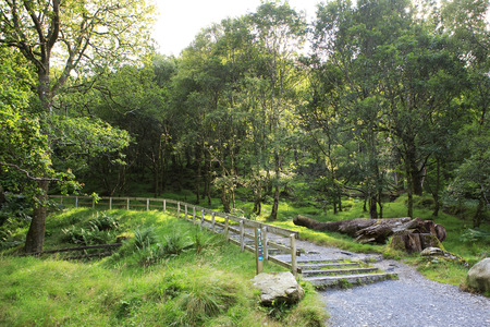 Walking trail to the waterfall. Wicklow Mountains National Park.の写真素材