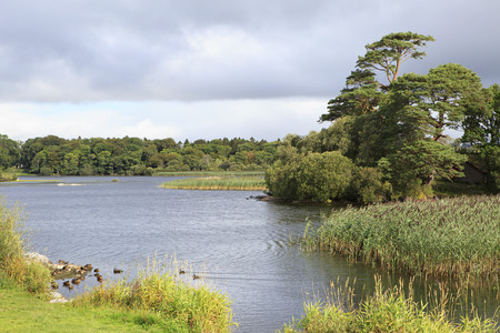 Ross Bay Lough Leane Lower Lake. Ring of Kerry in Ireland.の写真素材