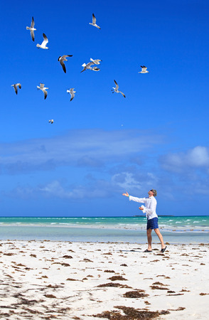 Man on the beach feeding sea gulls.の写真素材