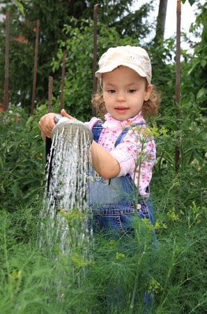 A little girl pours dill. Summer plantの写真素材