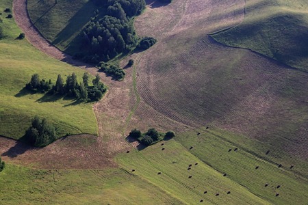 Fields and hills from the height of bird flight. Altai. Russiaの写真素材
