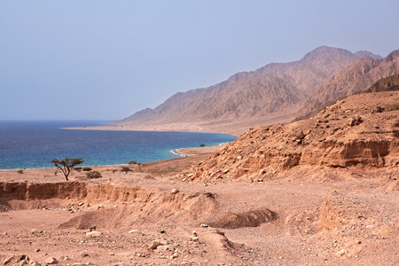 Sinai coast. Red Sea. Egypt.
