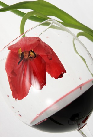 Beauty fades in wine. The problem of female alcoholism.の写真素材