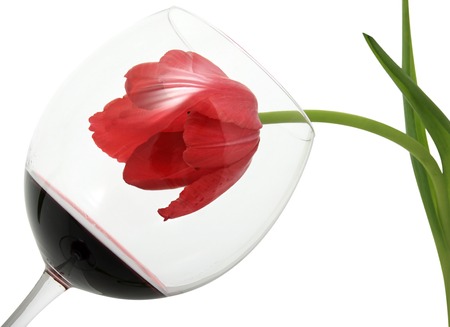 Beauty fades in wine. The problem of female alcoholism.の写真素材