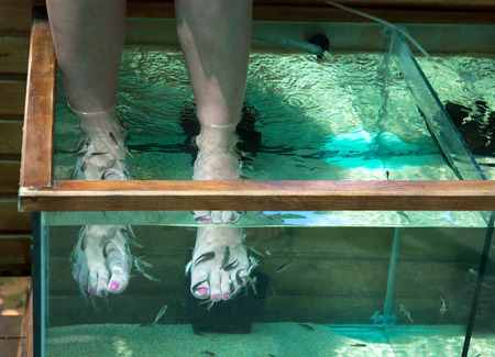 Fish pedicure in Belek in the Turkeyの写真素材