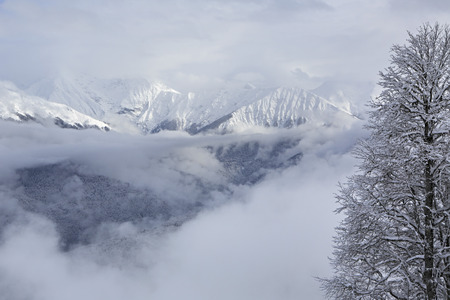 Beautiful snow-capped Caucasus Mountains. Rosa Khutor Alpine Resort in Sochi. Russia.の写真素材