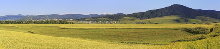 Beautiful panorama agricultural fields and the town of Belokurikha. Altai Krai in Russia.の写真素材